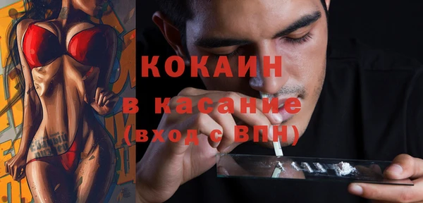 стафф Богданович