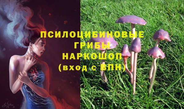 стаф Белоозёрский